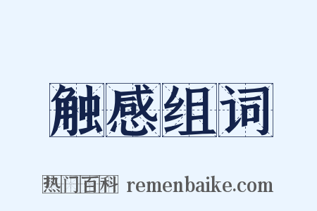 触感组词是什么意思的图片